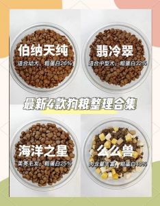 长期吃狗粮伤狗狗？均衡营养是关键！（狗狗经常吃狗粮有什么影响）