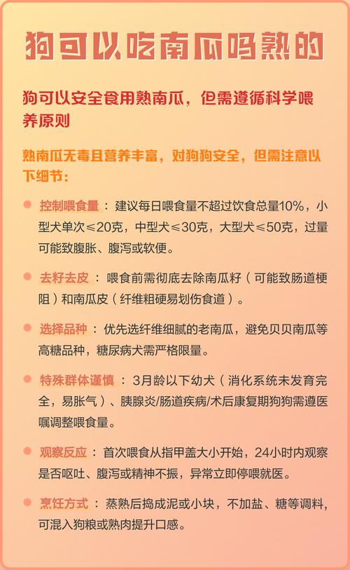 狗狗南瓜红薯保健饮食指南（狗能吃生南瓜还是熟的）