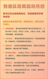 狗狗南瓜红薯保健饮食指南（狗能吃生南瓜还是熟的）