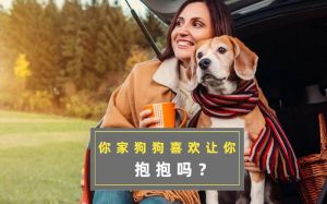 拥抱眼神交流狗狗更爱你（经常抱狗狗狗狗会喜欢你吗）