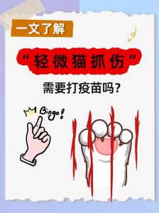 猫抓伤需接种疫苗吗？看伤口和猫情况！（被猫抓那种情况需要去打疫苗吗）