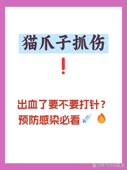 猫抓伤别慌，肥皂水冲洗消毒，观察异常及时就医（让猫轻轻挠了一下怎么办）