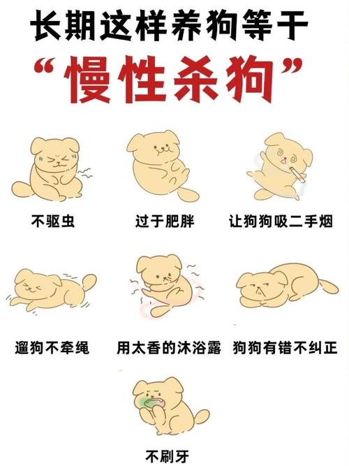 被狗咬伤怎么处理？速看正确急救方法！（不小心让狗狗捅了怎么办）