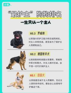 忠诚犬种品种与养育如何塑造狗狗忠诚？（什么种类的狗最忠诚）