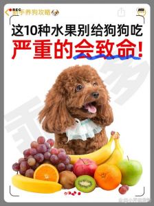 狗狗误食葡萄干致命，葡萄毒性大，预防为主（狗吃葡萄有什么危害）