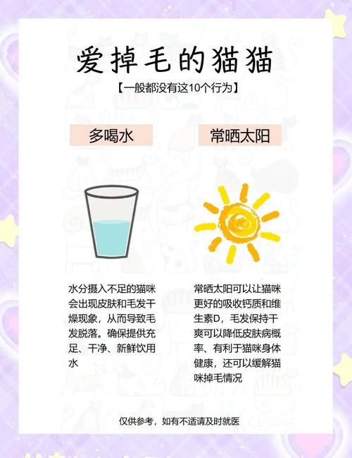 夏季猫咪掉毛多?调整饮食勤梳毛,洗澡减次用专用,缓解压力少掉毛(夏季猫咪掉毛厉害怎么办) 夏季猫咪掉毛多?调整饮食勤梳毛,洗澡减次用专用,缓解压力少掉毛(夏季猫咪掉毛厉害怎么办)