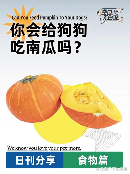 狗狗能吃南瓜吗？助消化又低热量！（南瓜小狗能吃吗）