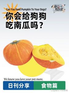 狗狗能吃南瓜吗？助消化又低热量！（南瓜小狗能吃吗）