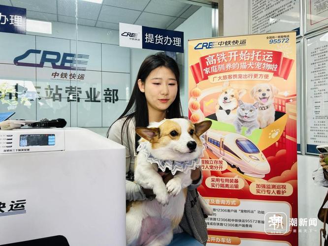 带符合条件的猫犬乘高铁,全程隔离安全舒适(宠物狗可以上高铁吗) 带符合条件的猫犬乘高铁,全程隔离安全舒适(宠物狗可以上高铁吗)