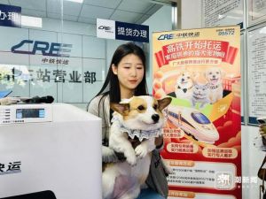 带符合条件的猫犬乘高铁，全程隔离安全舒适（宠物狗可以上高铁吗）