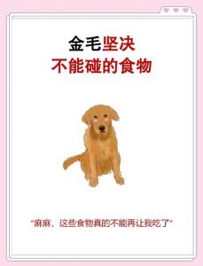 南瓜辅食要适量，煮熟不加糖，狗狗肠胃好！（为什么不建议狗吃南瓜）