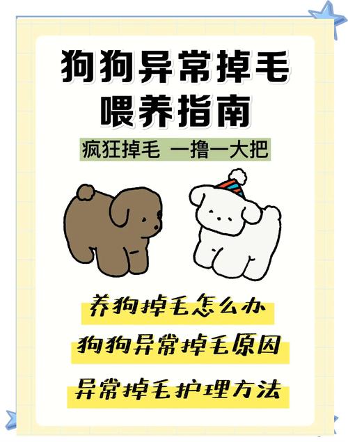 狗狗换毛正常吗？掉得多要注意！（狗狗换毛和掉毛的区别）