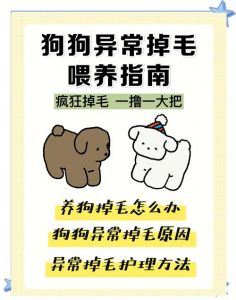 狗狗换毛正常吗？掉得多要注意！（狗狗换毛和掉毛的区别）