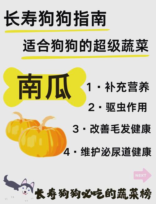 狗狗吃南瓜皮好，助消化驱虫，喂食要适量（煮熟的南瓜皮狗狗可以吃吗）
