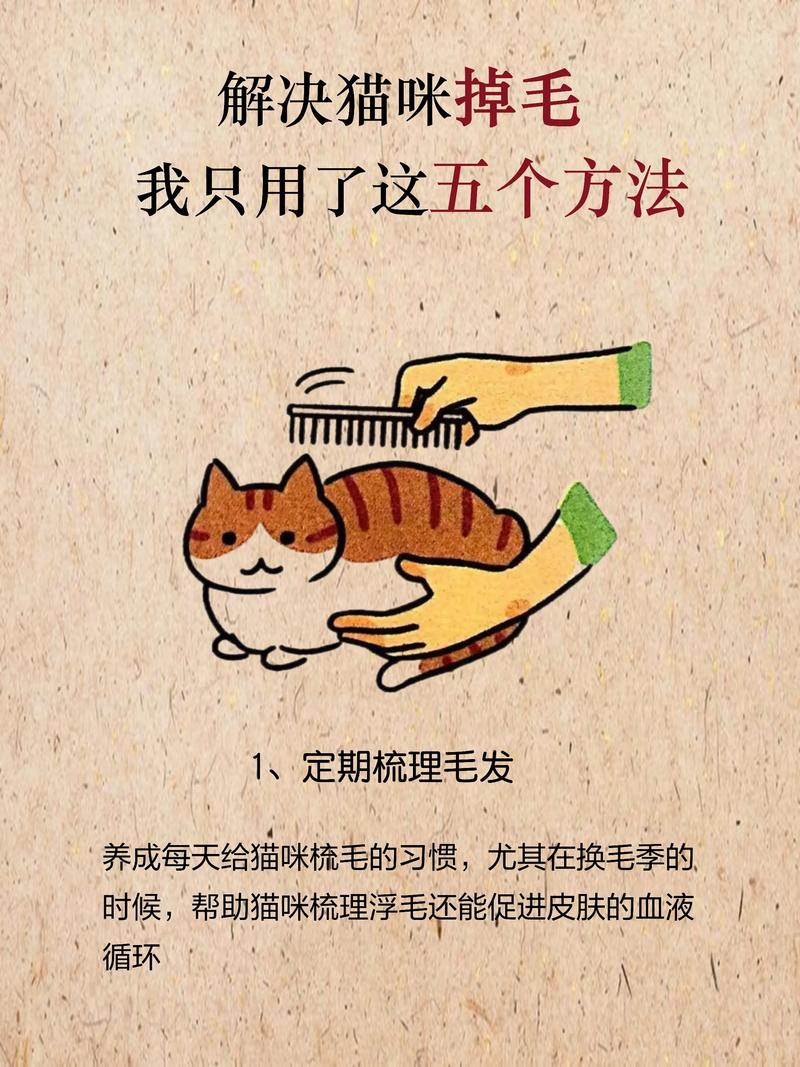 猫咪掉毛多？梳毛补营养，健康毛发生起来！（宠物猫掉毛怎么解决）