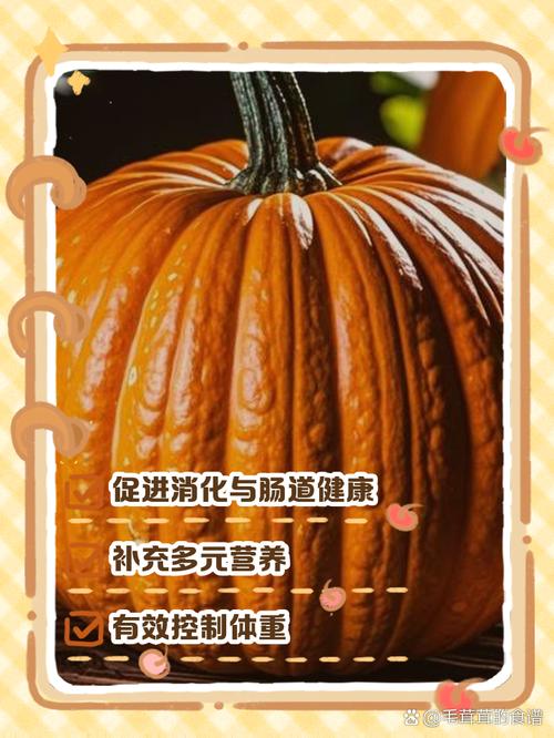 南瓜红薯喂狗要适量，注意健康（小狗吃南瓜和红薯哪个好）