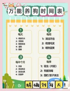 一户一犬？宠物管理将严管！（2026宠物新规一户能养几只宠物犬）
