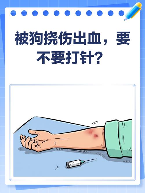狗爪划伤红印怎么办？速冲消毒防狂犬！（不小心让狗爪子划红了怎么办）