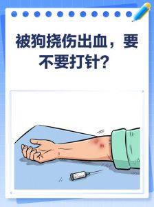 狗爪划伤红印怎么办？速冲消毒防狂犬！（不小心让狗爪子划红了怎么办）