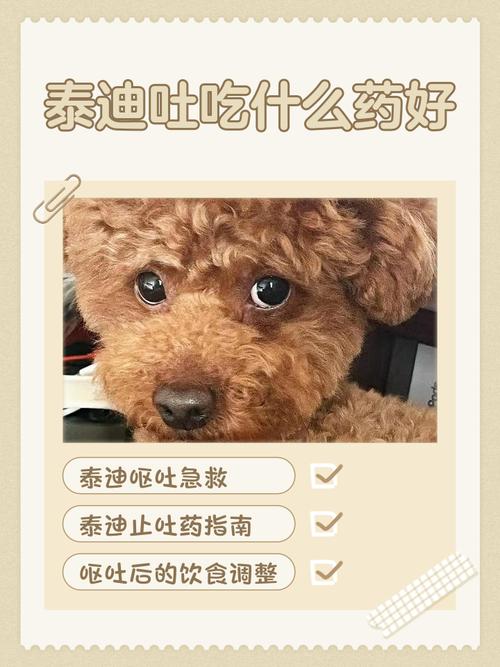 狗粮影响体味，选对粮少异味（狗吃油的多了体味变大吗）