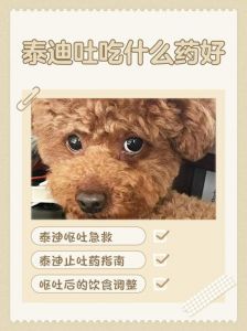 狗粮影响体味，选对粮少异味（狗吃油的多了体味变大吗）