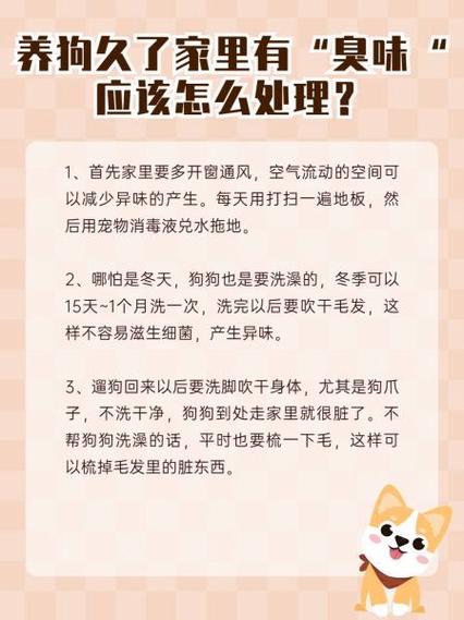 去除狗味妙招多，小苏打苹果醋来帮忙！（狗味道太重怎么祛除）