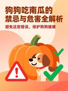 狗狗能吃南瓜泥，助消化营养好！（狗狗可以经常吃南瓜吗）