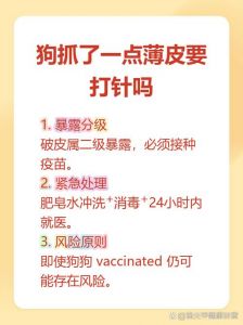 狗抓破皮肤也需打疫苗防狂犬（被家狗隔着衣服抓破了一点皮有事吗）