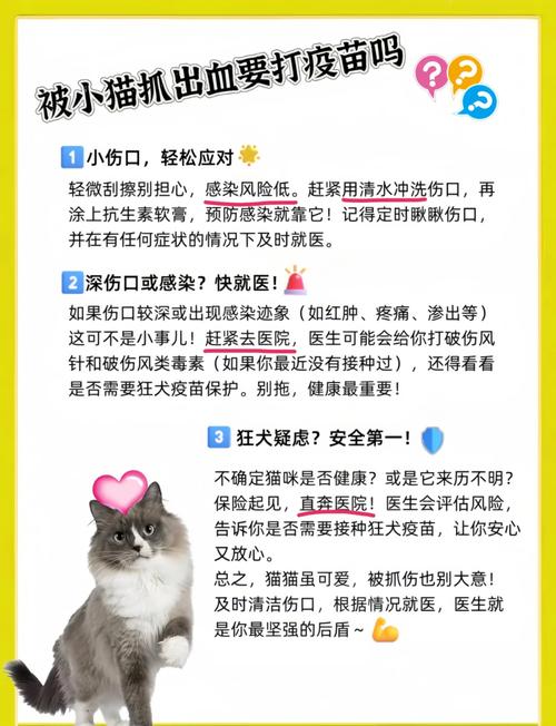 猫抓伤需打针吗？看情况速处理！（家养的猫抓伤要打针吗）