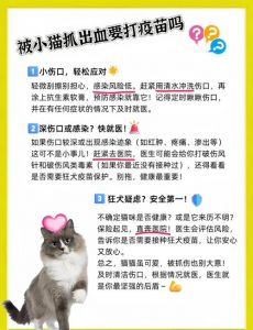猫抓伤需打针吗？看情况速处理！（家养的猫抓伤要打针吗）