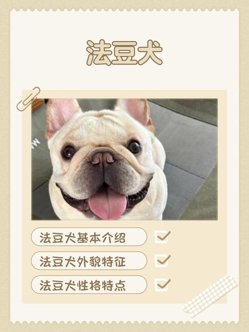 选狗看特点，包容促和谐（恶搞一家饺子养的狗是什么品种）