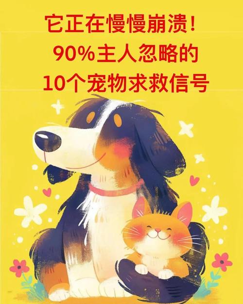 养宠物反映性格，带来幸福和情感支持（宠物的10种心理）