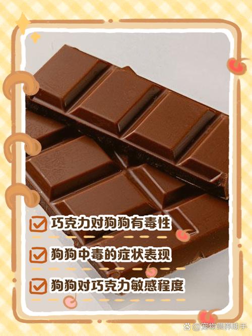 巧克力洋葱有毒，别喂狗狗！（夸克土养狗或家养狗可不可以吃巧克力）