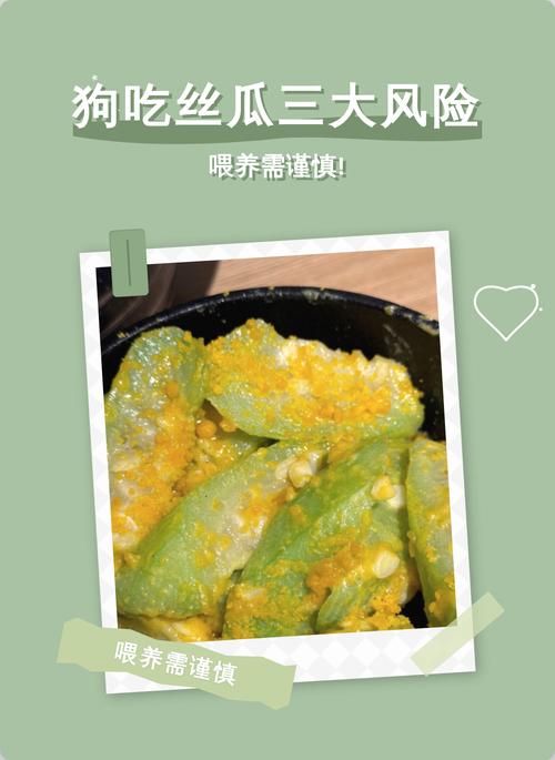 狗吃生水瓜中毒，煮熟少量喂（狗吃水瓜会中毒吗）