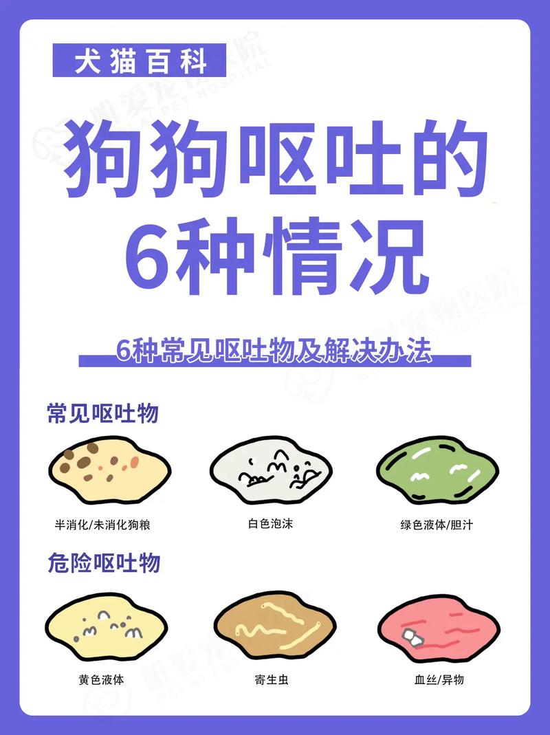 狗狗偶尔吐黄水怎么办？（狗狗呕吐会自愈吗）