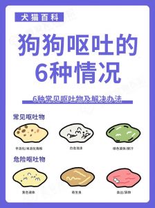 狗狗偶尔吐黄水怎么办？（狗狗呕吐会自愈吗）