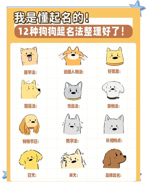 黑白黄三色犬趣味昵称(宠物犬起名 黑白黄三色) 黑白黄三色犬趣味昵称(宠物犬起名 黑白黄三色)