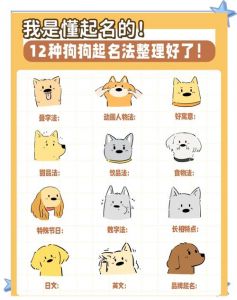 黑白黄三色犬趣味昵称（宠物犬起名 黑白黄三色）