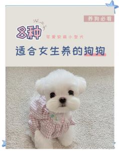 科学喂食减少宠物掉毛（养宠物吃什么不掉毛）
