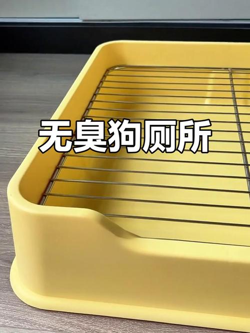 养狗便盆怎么选？实用推荐（在家养狗狗用什么上厕所）