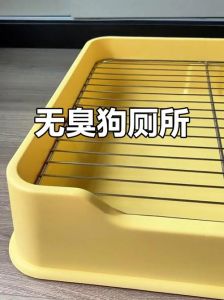 养狗便盆怎么选？实用推荐（在家养狗狗用什么上厕所）