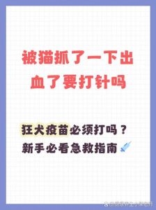 猫抓伤要不要打疫苗？看情况！（家猫抓了一下要打针吗）