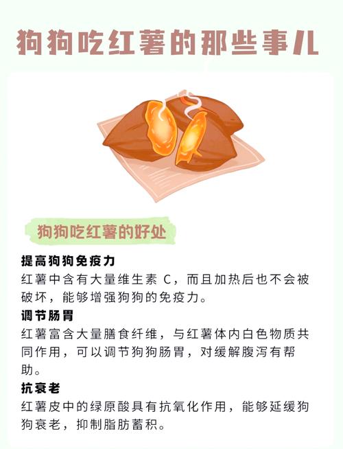 狗狗适量吃蒸地瓜好，健康营养要控制！（狗狗吃地瓜的好处）