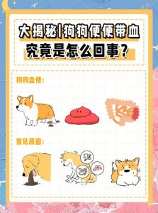 狗狗拉稀带血？先禁食禁水，速就医确诊！（狗狗又拉又吐还有点便血怎么办）