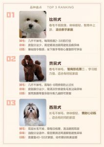 洁净伴侣的护理要点（哪种狗不掉毛没有体味）