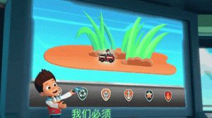 流浪犬变明星疗愈犬，治愈老人儿童（狗狗拯救迷你毛毛在哪里）