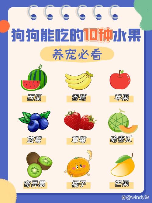 苹果零食喂狗狗，削皮去核，少量观察（狗狗一天能吃多少苹果）
