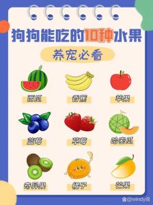 苹果零食喂狗狗，削皮去核，少量观察（狗狗一天能吃多少苹果）