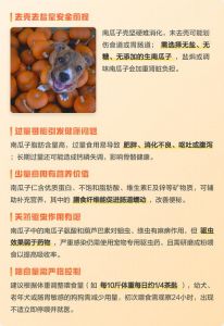 狗狗能吃生南瓜吗？安全喂食指南（狗狗可以吃生南瓜吗）