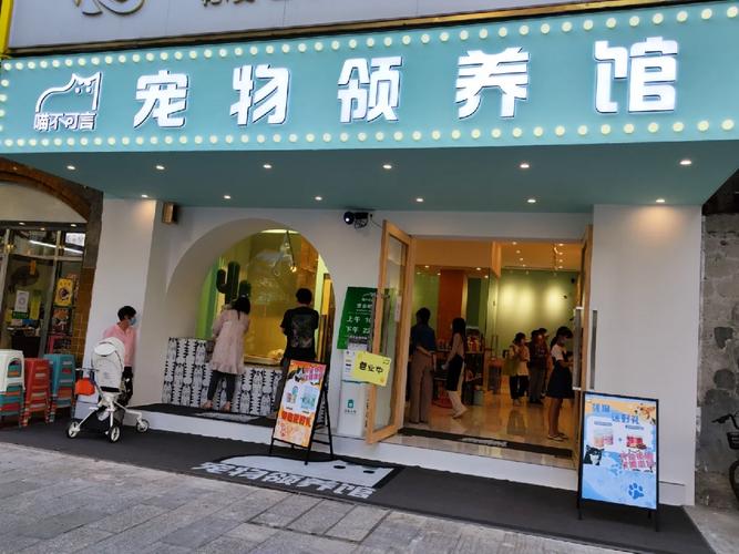 带猫跨省合法手续与安全,流浪狗寻收容所需核实资质(宠物收养所在哪里) 带猫跨省合法手续与安全,流浪狗寻收容所需核实资质(宠物收养所在哪里)